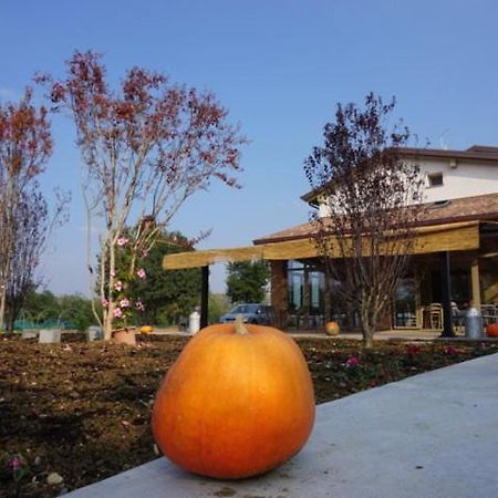 Agriturismo Campogrande Carpaneto Piacentino Екстер'єр фото