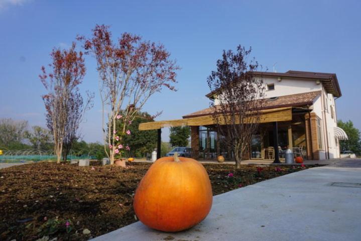 Agriturismo Campogrande Carpaneto Piacentino Екстер'єр фото